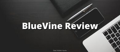 bluevine-review:-should-you-get-this-online-business-checking-account?